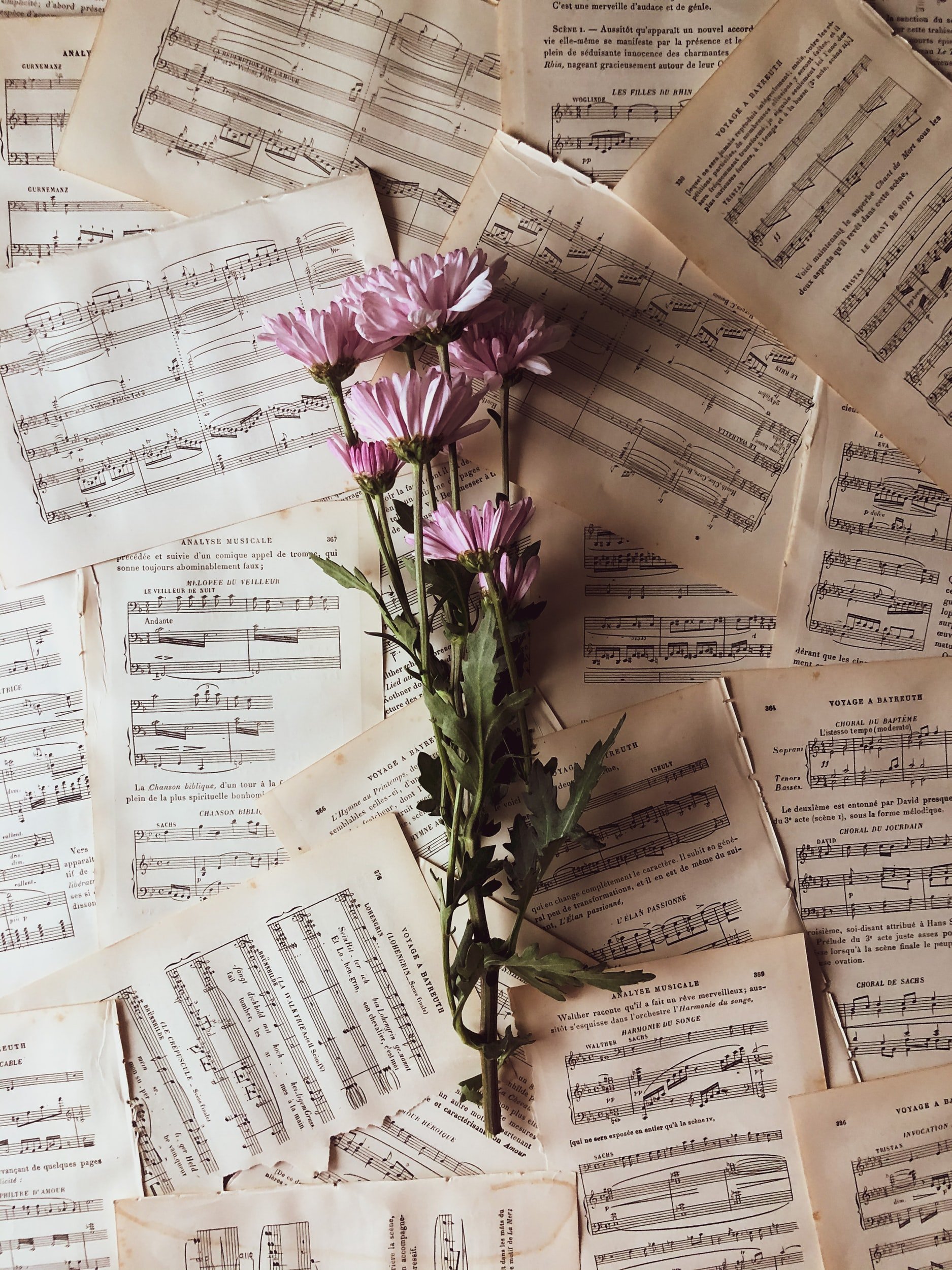 Harmony