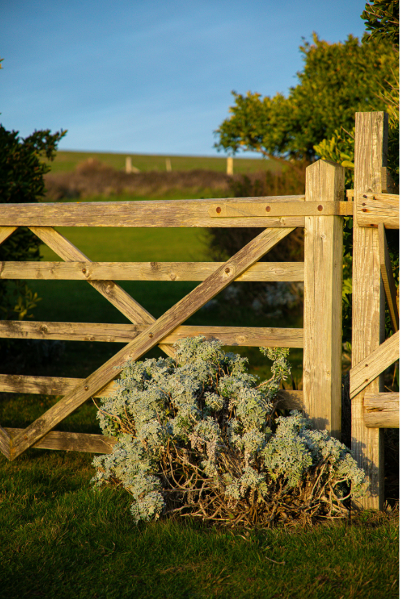 Estrangement was the outcome, not the decision